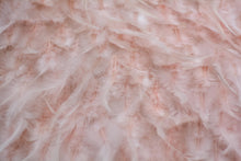 Load image into Gallery viewer, Blush colour Feathers
