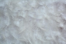 Load image into Gallery viewer, Edwardian White Feathers
